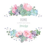 Πράσινο ζωηρόχρωμο διανυσματικό σχέδιο succulents γύρω από το πλαίσιο Πράσινο ζωηρόχρωμο διανυσματικό σχέδιο succulents γύρω από το πλαίσιο