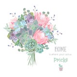 Πράσινο ζωηρόχρωμο σύνολο σχεδίου succulents διανυσματικό Echeveria, protea, eucaliptus απεικόνιση αποθεμάτων Πράσινο ζωηρόχρωμο σύνολο σχεδίου succulents διανυσματικό Echeveria, protea, eucaliptus απεικόνιση αποθεμάτων