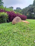 Προεδρικό παλάτι Bogor σε Bogor στοκ φωτογραφία με δικαίωμα ελεύθερης χρήσης Προεδρικό παλάτι Bogor σε Bogor στοκ φωτογραφία με δικαίωμα ελεύθερης χρήσης