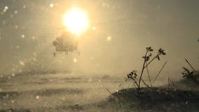 Προσγείωση του ελικοπτέρου mi-8 σε μια ηλιόλουστη χειμερινή ημέρα, που αυξάνει τη σκόνη χιονιού απόθεμα βίντεο Προσγείωση του ελικοπτέρου mi-8 σε μια ηλιόλουστη χειμερινή ημέρα, που αυξάνει τη σκόνη χιονιού απόθεμα βίντεο