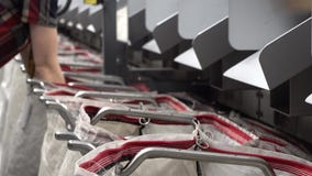 Προσωπικό που εργάζεται στις αυτοματοποιημένες τσάντες πλήρωσης συστημάτων δεμάτων ταξινομώντας απόθεμα βίντεο Προσωπικό που εργάζεται στις αυτοματοποιημένες τσάντες πλήρωσης συστημάτων δεμάτων ταξινομώντας απόθεμα βίντεο