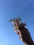 Πρωί vibes στοκ φωτογραφία με δικαίωμα ελεύθερης χρήσης Πρωί vibes στοκ φωτογραφία με δικαίωμα ελεύθερης χρήσης