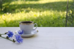 Πρωί μιας εγκύου γυναίκας υγιές ποτό για τα παιδιά στοκ εικόνες Πρωί μιας εγκύου γυναίκας υγιές ποτό για τα παιδιά στοκ εικόνες