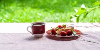 Πρόγευμα πρωινού από cheesecake, διάφορες φράουλες σε απλό πιάτο και 1 άσπρος-κόκκινο φλιτζάνι του καφέ στο μαλακό ροζ στοκ εικόνες με δικαίωμα ελεύθερης χρήσης Πρόγευμα πρωινού από cheesecake, διάφορες φράουλες σε απλό πιάτο και 1 άσπρος-κόκκινο φλιτζάνι του καφέ στο μαλακό ροζ στοκ εικόνες με δικαίωμα ελεύθερης χρήσης