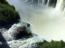 Πτώσεις Iguazu, Αργεντινή - ένας από του κόσμου αναρωτιέται στοκ εικόνες Πτώσεις Iguazu, Αργεντινή - ένας από του κόσμου αναρωτιέται στοκ εικόνες