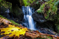 Πτώσεις Trillium, Orick, Καλιφόρνια στοκ εικόνα με δικαίωμα ελεύθερης χρήσης Πτώσεις Trillium, Orick, Καλιφόρνια στοκ εικόνα με δικαίωμα ελεύθερης χρήσης