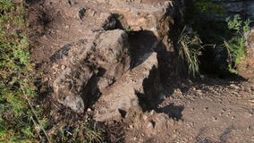 Πόδια οδοιπόρων γυναικών στο μέγιστο βράχο βουνών, βλαστός κινηματογραφήσεων σε πρώτο πλάνο απόθεμα βίντεο Πόδια οδοιπόρων γυναικών στο μέγιστο βράχο βουνών, βλαστός κινηματογραφήσεων σε πρώτο πλάνο απόθεμα βίντεο