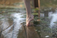Πόδια ballerina tiptoe o στοκ φωτογραφία με δικαίωμα ελεύθερης χρήσης Πόδια ballerina tiptoe o στοκ φωτογραφία με δικαίωμα ελεύθερης χρήσης