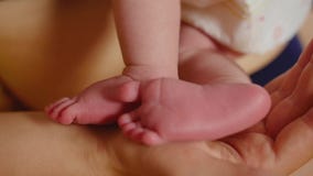 Πόδια μωρών στα χέρια μητέρων Πόδια του μικροσκοπικού νεογέννητου μωρού στη θηλυκή διαμορφωμένη καρδιά κινηματογράφηση σε πρώτο π φιλμ μικρού μήκους Πόδια μωρών στα χέρια μητέρων Πόδια του μικροσκοπικού νεογέννητου μωρού στη θηλυκή διαμορφωμένη καρδιά κινηματογράφηση σε πρώτο π φιλμ μικρού μήκους