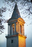 Πύργος παλατιών Topkapi το βράδυ, Ιστανμπούλ, Τουρκία - το Δεκέμβριο του 2014 στοκ εικόνες με δικαίωμα ελεύθερης χρήσης Πύργος παλατιών Topkapi το βράδυ, Ιστανμπούλ, Τουρκία - το Δεκέμβριο του 2014 στοκ εικόνες με δικαίωμα ελεύθερης χρήσης