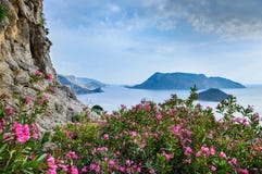 Ρομαντικοί προορισμοί ταξιδιού Λουλούδια άνοιξη στο νησί Kalymnos, Στοκ Φωτογραφίες Ρομαντικοί προορισμοί ταξιδιού Λουλούδια άνοιξη στο νησί Kalymnos, Στοκ Φωτογραφίες