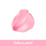 Ρόδινο πέταλο sakura ομορφιάς διανυσματική απεικόνιση Ρόδινο πέταλο sakura ομορφιάς διανυσματική απεικόνιση