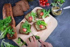 Σάντουιτς με τις ντομάτες, το arugula και την πράσινη σάλτσα Κύπελλα των συστατικών σε ένα γκρίζο υπόβαθρο Μαγείρεμα ατόμων Πρόχε στοκ εικόνα με δικαίωμα ελεύθερης χρήσης Σάντουιτς με τις ντομάτες, το arugula και την πράσινη σάλτσα Κύπελλα των συστατικών σε ένα γκρίζο υπόβαθρο Μαγείρεμα ατόμων Πρόχε στοκ εικόνα με δικαίωμα ελεύθερης χρήσης