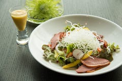 Σαλάτα με το στήθος arugula και παπιών στοκ εικόνες Σαλάτα με το στήθος arugula και παπιών στοκ εικόνες