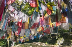 Σημαίες Longta, άλογο αέρα, κοιλάδα Bumthang, Μπουτάν προσευχής στοκ φωτογραφία Σημαίες Longta, άλογο αέρα, κοιλάδα Bumthang, Μπουτάν προσευχής στοκ φωτογραφία