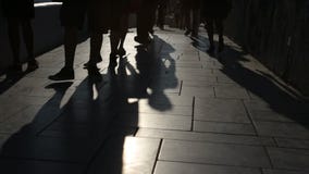 Σκιές των ανθρώπων που περπατούν στην πόλη Πομπή οδών απόθεμα βίντεο Σκιές των ανθρώπων που περπατούν στην πόλη Πομπή οδών απόθεμα βίντεο