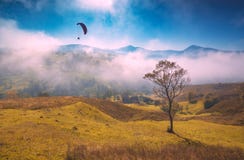 Σκιαγραφία Paraglide που πετά επάνω από τους ομιχλώδεις Καρπάθιους λόφους Στοκ φωτογραφία με δικαίωμα ελεύθερης χρήσης Σκιαγραφία Paraglide που πετά επάνω από τους ομιχλώδεις Καρπάθιους λόφους Στοκ φωτογραφία με δικαίωμα ελεύθερης χρήσης