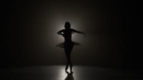 Σκιαγραφία ενός νέου όμορφου ballerina που φορά pointe τα παπούτσια και που κάνει κομψά pirouettes σε σε αργή κίνηση - απόθεμα βίντεο Σκιαγραφία ενός νέου όμορφου ballerina που φορά pointe τα παπούτσια και που κάνει κομψά pirouettes σε σε αργή κίνηση - απόθεμα βίντεο