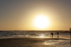 Σκιαγραφίες δύο surfers στο ηλιοβασίλεμα στην παραλία στοκ εικόνες Σκιαγραφίες δύο surfers στο ηλιοβασίλεμα στην παραλία στοκ εικόνες