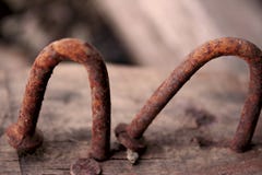 Σκουριά χάλυβα δύο καρφιών με την κυρτή καμμμένη μορφή στο ξύλο και ένα ευθύ καρφί στο ξύλο στοκ εικόνα με δικαίωμα ελεύθερης χρήσης Σκουριά χάλυβα δύο καρφιών με την κυρτή καμμμένη μορφή στο ξύλο και ένα ευθύ καρφί στο ξύλο στοκ εικόνα με δικαίωμα ελεύθερης χρήσης