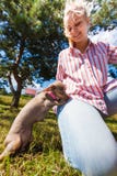 Σκυλί παιχνιδιού γυναικών pinscher ratter έξω στοκ εικόνα με δικαίωμα ελεύθερης χρήσης Σκυλί παιχνιδιού γυναικών pinscher ratter έξω στοκ εικόνα με δικαίωμα ελεύθερης χρήσης