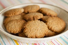 Σπιτικά και βιο oatmeal μπισκότα στοκ εικόνες με δικαίωμα ελεύθερης χρήσης Σπιτικά και βιο oatmeal μπισκότα στοκ εικόνες με δικαίωμα ελεύθερης χρήσης