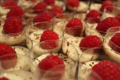 Σπιτικό επιδόρπιο Tiramisu στοκ εικόνες Σπιτικό επιδόρπιο Tiramisu στοκ εικόνες