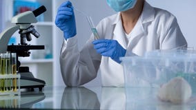 Στάζοντας υγρό δοκιμής επιστημόνων στο σωλήνα, που αναπτύσσει τη νέα ιατρική, δοκιμή τρωκτικών στοκ εικόνες Στάζοντας υγρό δοκιμής επιστημόνων στο σωλήνα, που αναπτύσσει τη νέα ιατρική, δοκιμή τρωκτικών στοκ εικόνες