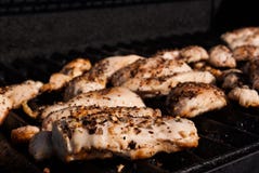Στήθος κοτόπουλου σε μια BBQ σχάρα με τα καρυκεύματα στοκ εικόνα με δικαίωμα ελεύθερης χρήσης Στήθος κοτόπουλου σε μια BBQ σχάρα με τα καρυκεύματα στοκ εικόνα με δικαίωμα ελεύθερης χρήσης
