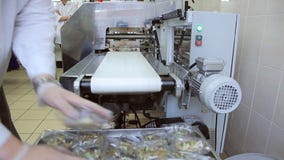 Στο εργοστάσιο αερολιμένων ο άνδρας εργαζόμενος ταξινομεί το εμπορευματοκιβώτιο τροφίμων Στο εργοστάσιο αερολιμένων ο άνδρας εργαζόμενος ταξινομεί το εμπορευματοκιβώτιο τροφίμων