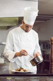 Συγκεντρωμένος αρσενικός αρχιμάγειρας που διακοσμεί τα τρόφιμα στην κουζίνα στοκ φωτογραφία Συγκεντρωμένος αρσενικός αρχιμάγειρας που διακοσμεί τα τρόφιμα στην κουζίνα στοκ φωτογραφία