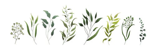 Συλλογή πρασινάδων φύλλων τροπικών φύλλων χορταριών φυτών των δασικών ελεύθερη απεικόνιση δικαιώματος Συλλογή πρασινάδων φύλλων τροπικών φύλλων χορταριών φυτών των δασικών ελεύθερη απεικόνιση δικαιώματος