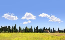 συναπόσπορος tuscan τοπίων κυ& στοκ φωτογραφίες με δικαίωμα ελεύθερης χρήσης συναπόσπορος tuscan τοπίων κυ& στοκ φωτογραφίες με δικαίωμα ελεύθερης χρήσης