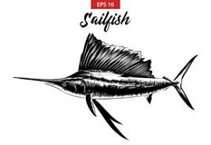 Συρμένο χέρι σκίτσο sailfish στο Μαύρο που απομονώνεται στο άσπρο υπόβαθρο Λεπτομερές εκλεκτής ποιότητας σχέδιο ύφους χαρακτικής ελεύθερη απεικόνιση δικαιώματος Συρμένο χέρι σκίτσο sailfish στο Μαύρο που απομονώνεται στο άσπρο υπόβαθρο Λεπτομερές εκλεκτής ποιότητας σχέδιο ύφους χαρακτικής ελεύθερη απεικόνιση δικαιώματος