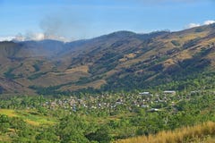 Συστάδα Fijian bure στην κοιλάδα Navala, ένα χωριό στο Χάιλαντς BA βόρειου κεντρικού Viti Levu, Φίτζι στοκ φωτογραφία με δικαίωμα ελεύθερης χρήσης Συστάδα Fijian bure στην κοιλάδα Navala, ένα χωριό στο Χάιλαντς BA βόρειου κεντρικού Viti Levu, Φίτζι στοκ φωτογραφία με δικαίωμα ελεύθερης χρήσης