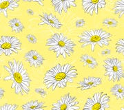 Σχέδιο Chamomile στη γραφική παράσταση ελεύθερη απεικόνιση δικαιώματος Σχέδιο Chamomile στη γραφική παράσταση ελεύθερη απεικόνιση δικαιώματος