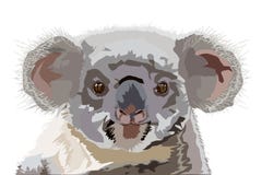 Σχέδιο του αυστραλιανού koala διανυσματική απεικόνιση Σχέδιο του αυστραλιανού koala διανυσματική απεικόνιση