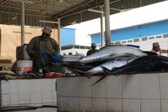 Σωροί των φρεσκότερων ψαριών για την πώληση στην αγορά Mutrah στοκ εικόνα Σωροί των φρεσκότερων ψαριών για την πώληση στην αγορά Mutrah στοκ εικόνα