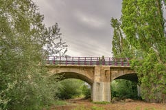 Σύγχρονη γέφυρα στη μέση του πράσινου δάσους άνοιξη ένα γκρίζο απόγευμα του μολύβδινου ουρανού στοκ φωτογραφία με δικαίωμα ελεύθερης χρήσης Σύγχρονη γέφυρα στη μέση του πράσινου δάσους άνοιξη ένα γκρίζο απόγευμα του μολύβδινου ουρανού στοκ φωτογραφία με δικαίωμα ελεύθερης χρήσης