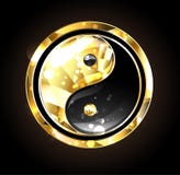 Σύμβολο κοσμήματος yin yang Στοκ εικόνες με δικαίωμα ελεύθερης χρήσης Σύμβολο κοσμήματος yin yang Στοκ εικόνες με δικαίωμα ελεύθερης χρήσης