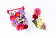 Σύνολο κάρρων αγορών των διαφορετικών wildflowers στο άσπρο υπόβαθρο στοκ φωτογραφίες Σύνολο κάρρων αγορών των διαφορετικών wildflowers στο άσπρο υπόβαθρο στοκ φωτογραφίες