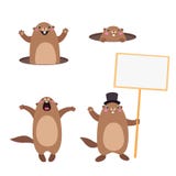 Σύνολο groundhog που σκάει από την τρύπα του και που κρατά έναν κενό πίνακα σημαδιών επίπεδος διανυσματική απεικόνιση Σύνολο groundhog που σκάει από την τρύπα του και που κρατά έναν κενό πίνακα σημαδιών επίπεδος διανυσματική απεικόνιση