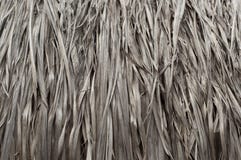 Σύσταση Thatched από το cylindrica Ταϊλάνδη Imperata στοκ φωτογραφίες με δικαίωμα ελεύθερης χρήσης Σύσταση Thatched από το cylindrica Ταϊλάνδη Imperata στοκ φωτογραφίες με δικαίωμα ελεύθερης χρήσης