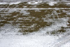 Σύσταση της ανάπτυξης χλόης μέσω της άνοιξη χιονιού στοκ φωτογραφία Σύσταση της ανάπτυξης χλόης μέσω της άνοιξη χιονιού στοκ φωτογραφία