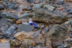 Τα απόβλητα από τα ποτά του Red Bull αλουμινίου μπορούν απορριμμένος στην στοκ φωτογραφία με δικαίωμα ελεύθερης χρήσης Τα απόβλητα από τα ποτά του Red Bull αλουμινίου μπορούν απορριμμένος στην στοκ φωτογραφία με δικαίωμα ελεύθερης χρήσης