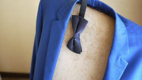 Τα εξαρτήματα των κομψών και μοντέρνων ατόμων, μια πεταλούδα κάθονται σε μια καρέκλα με ένα σακάκι 4 φιλμ μικρού μήκους Τα εξαρτήματα των κομψών και μοντέρνων ατόμων, μια πεταλούδα κάθονται σε μια καρέκλα με ένα σακάκι 4 φιλμ μικρού μήκους