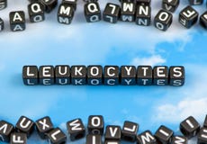 Τα λευκοκύτταρα λέξης στοκ εικόνα Τα λευκοκύτταρα λέξης στοκ εικόνα