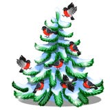Τα εύθυμα bullfinches κάθονται σε μια χιονώδη ερυθρελάτη που απομονώνεται στο άσπρο υπόβαθρο Δείγμα των Χριστουγέννων και της νέα ελεύθερη απεικόνιση δικαιώματος Τα εύθυμα bullfinches κάθονται σε μια χιονώδη ερυθρελάτη που απομονώνεται στο άσπρο υπόβαθρο Δείγμα των Χριστουγέννων και της νέα ελεύθερη απεικόνιση δικαιώματος