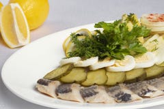 Τα κομμάτια των ψαριών, αυγά, ψωμί, αγγούρια, λεμόνι κοντά στο κρύο τσιμπούν στοκ φωτογραφίες με δικαίωμα ελεύθερης χρήσης Τα κομμάτια των ψαριών, αυγά, ψωμί, αγγούρια, λεμόνι κοντά στο κρύο τσιμπούν στοκ φωτογραφίες με δικαίωμα ελεύθερης χρήσης