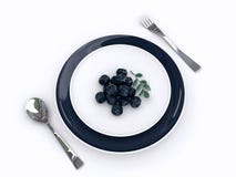 Τα φρούτα acai της Αμαζώνας. διανυσματική απεικόνιση Τα φρούτα acai της Αμαζώνας. διανυσματική απεικόνιση